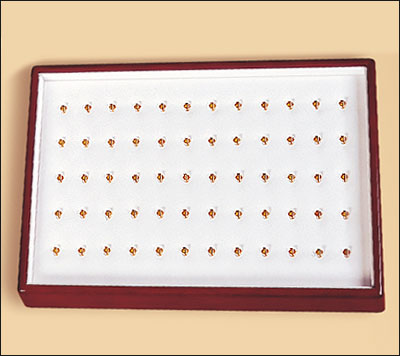 60 Pendant Tray with hooks